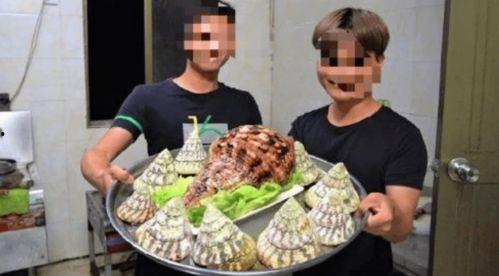 海鲜爆料博主有哪些呢视频,揭秘海鲜界的那些事儿 第2张 海鲜爆料博主有哪些呢视频,揭秘海鲜界的那些事儿 第2张